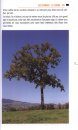 Guide des Arbres Extraordinaires de Suisse Romande: 40 Balades d’Énergie [Guide to the Extraordinary Trees of Romandy, Switzerland: 40 Energetic Walks]