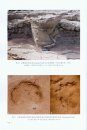 Palaeovertebrata Sinica, Volume 2: Amphibians, Reptiles and Avians, Fascicle 8 (Serial no. 12): Footprints of Mesozoic Reptilians and Avians [Chinese]
