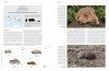 Handbook of the Mammals of the World, Volume 7: Rodents II