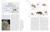 Handbook of the Mammals of the World, Volume 7: Rodents II