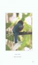 Birds of Guatemala: The Quetzal, Trogons and Hummingbirds / Aves de Guatemala, Volume 1: El Quetzal, Trogones y Colibrs