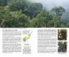 Wildlife Conservation Society Aves do Brasil, Volume 2: Mata Atlântica do Sudeste [Wildlife Conservation Society Birds of Brazil, Volume 2: The Atlantic Forest of Southeast Brazil, including São Paulo and Rio de Janeiro]