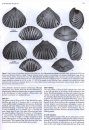 Cambro-Ordovician Studies V