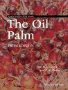 The Oil Palm