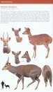 Bovids of the World