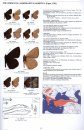Lycaenidae Part 4 (Guide to the Butterflies of the Palearctic Region)