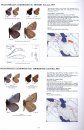 Lycaenidae Part 4 (Guide to the Butterflies of the Palearctic Region)