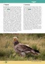 Reintroduction of Griffon Vulture Gyps fulvus in Kresna Gorge, Southwest Bulgaria 2010-2015 [English / Bulgarian]