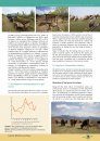 Reintroduction of Griffon Vulture Gyps fulvus in Kresna Gorge, Southwest Bulgaria 2010-2015 [English / Bulgarian]