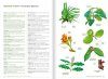 Remarkable Plants of Vanuatu / Plantes Remarquables du Vanuatu