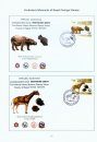 Prehistoric Mammals of Nepal