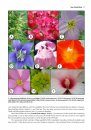 Guide to the Vascular Flora of Howell Woods, Johnston County, North Carolina, U.S.A.