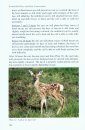Scottish Red Deer and Their Conservation