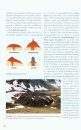Vulkánok: A Kárpát-Pannon Térség Tűzhányói [Volcanoes: The Volcanoes of the Carpathian-Pannonian Region]