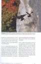 50 Jahre Schutz von Fels und Falken 1965–2015 [50 Years of Protection of Cliffs and Hawks 1965-2015]