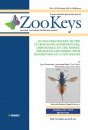 ZooKeys 548: An Illustrated Key to the Cuckoo Wasps (Hymenoptera, Chrysididae) of the Nordic and Baltic Countries, with Description of a New Species