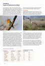 Handboek Vogels van Nederland en België [Handbook to the Birds of the Netherlands and Belgium]