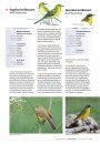 Handboek Vogels van Nederland en België [Handbook to the Birds of the Netherlands and Belgium]