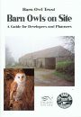 Barn Owls on Site