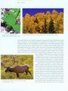 Essential Guide to Rocky Mountain Mushrooms by Habitat