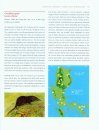 The Mammals of Luzon Island