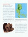 The Mammals of Luzon Island