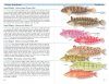 A Field Guide to Coastal Fishes: From Alaska to California