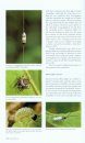 Insects and Other Arthropods of Tropical America