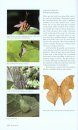 Insects and Other Arthropods of Tropical America