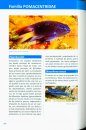 Guía de la Fauna Marina de Canarias: Peces, Ballenas, Delfines y Tortugas [Guide to the Marine Fauna of the Canary Islands: Fish, Whales, Dolphins and Turtles]