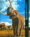 Elefantenreich: Eine Fossilwelt in Europa [Elephant Kingdom: A Fossil World in Europe]