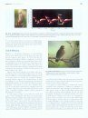 Handbook of Bird Biology