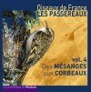 Oiseaux de France: Les Passereaux (5CD) [Birds of France: The Passerines]