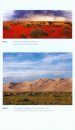 The Biology of Deserts