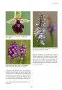 A la Découverte des Orchidées d'Alsace et de Lorraine [Discovering the Orchids of Alsace and Lorraine]