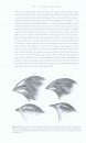 Charles Darwin's Life with Birds