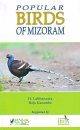 Popular Birds of Mizoram