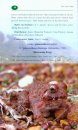 A Field Guide on Amphibians of Himachal Pradesh