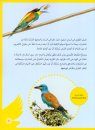 Toyoor Qatar [Birds of Qatar]