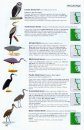 Birds of the Wet Tropics of Queensland & Great Barrier Reef & Where to Find Them
