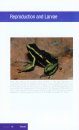 Aposematic Poison Frogs (Dendrobatidae) of the Andean Countries