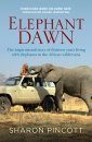 Elephant Dawn