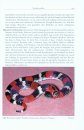 Amphibien und Reptilien des Paraguayischen Chaco [Amphibians and Reptiles of the Paraguayan Chaco]