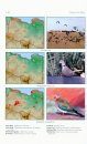 Birds of Libya / Oiseaux de Libye