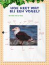 Vogels [Birds]