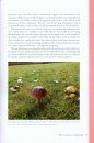 Edible Mushrooms