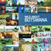 Wild About Botswana