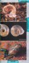 Guide des Mollusques Terrestres: Escargots et Limaces [Guide to Terrestrial Molluscs: Snails and Slugs]