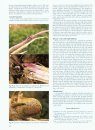 Compendium of Corn Diseases