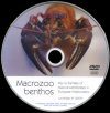 Macrozoobenthos (without Wibu Key)